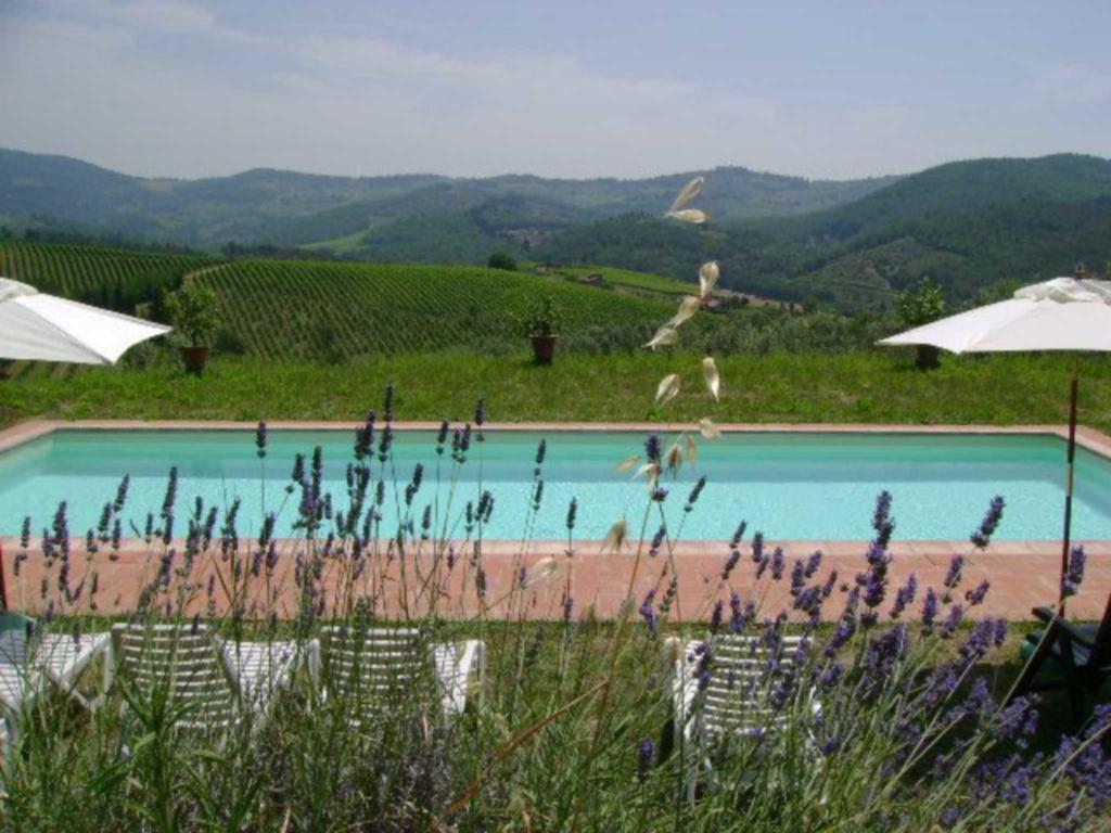 Agriturismo Il Santo Greve in Chianti Exteriör bild